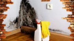 Metódy a prostriedky na odstránenie formy zo stien